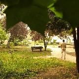 Sᴇʀʟᴏɴᴀɴ Qᴇᴘᴀʟ