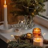 𝚜𝚊𝚝𝚎𝚕𝚕𝚒𝚝𝚎 <справочник>