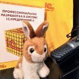 Радио 1С Энтерпрайз