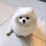 Asemova’s life🤍