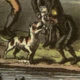 Собачий Сок