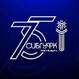 СибГУФК Online 📝