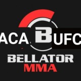 Bellator- UFC чат :