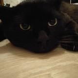 Лечим Васеньку