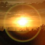 Bit Life - Децентрал: обучение и обсуждение