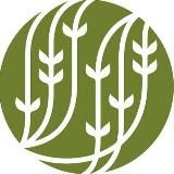 Palais des Thés Russia