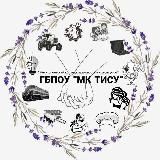 ГБПОУ "МК ТИСУ" Мелитополь 💅 👩🏻💻 👷🏻 🚜 🚉 🚗 💇🏼♀️ 🧵