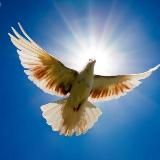 ПРАВДА ВСЯ ТУТ