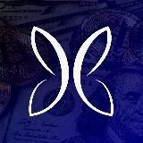 Butterfly Capital News