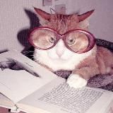 Сатира / Литературные мемы