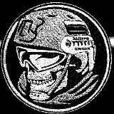 Партизан СВО