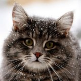 👼Переходничок👼