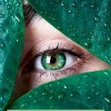 Здесь про деньги