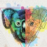 Koala Chat