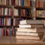 ЕЛЕНА ЛИТВЯК. МУЗЕЙ НА ПОДОКОННИКЕ