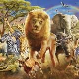 В Мире Животных