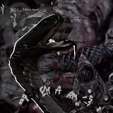 ⛓️ⲙⲭⲥⲉⲉⲣ//❤️