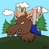 Moose News!