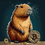 Crypto Сlicker|CC|Кликибара