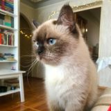 Мысли и моменты 💜