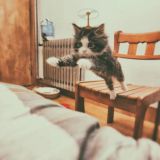 SaltyLeo的博客讨论组!