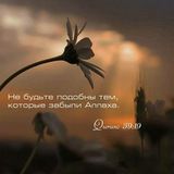 КОРАН (QURAN) 📖