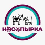 Ветеринарная консультация| НОСОПЫРКА