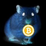 Shitcoins collection