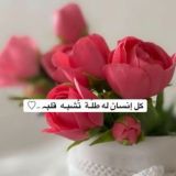 اللهم قلبي