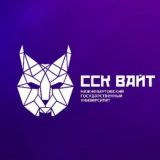 ФК «ВАЙТ»|НВГУ