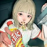 дневничок зерошки