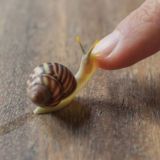 Хейтеры Яси Chat 🤡🤡🤡