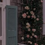 𝒉_𝒔𝒂𝒃𝒓__🕊