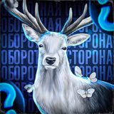 Оборотная Сторона