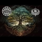 𝑪𝒐𝒔𝒎𝒐𝒏𝒂𝒖𝒕𝒂𝒔 Φ - 𝑹𝒆𝒕𝒐𝒓𝒏𝒐 𝒂𝒍 𝑶𝒓𝒊𝒈𝒆𝒏