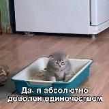 VZVод алекса