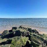 поток мыслей