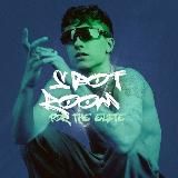 Spot ROOM