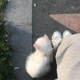 Переходник для канала✨𝓜𝓸𝓸𝓭𝓑𝓻𝓲𝓵𝓵𝓲𝓪𝓷𝓽✨