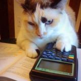 пряники на обеде