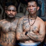 Канал отзывов MS-13 🤘🏻👐🏻