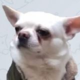 Себечий Вертухай