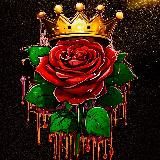 INFOSITE - только лучшие сайты