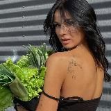 КОШКИН ДОМ 🐆