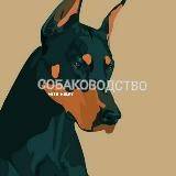 СОБАКОВОДСТВО with kelpy