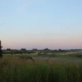 Маруся Иконописец в деревне