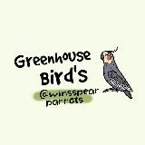 ⋆˚Greenhouse Bird's˚🪶⋆