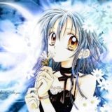 🇷🇺 котята :3 🇷🇺