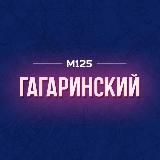 Гагаринский район Москвы М125