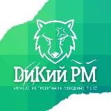 ДиКий PM | Про управление проектами честно, без буллшита